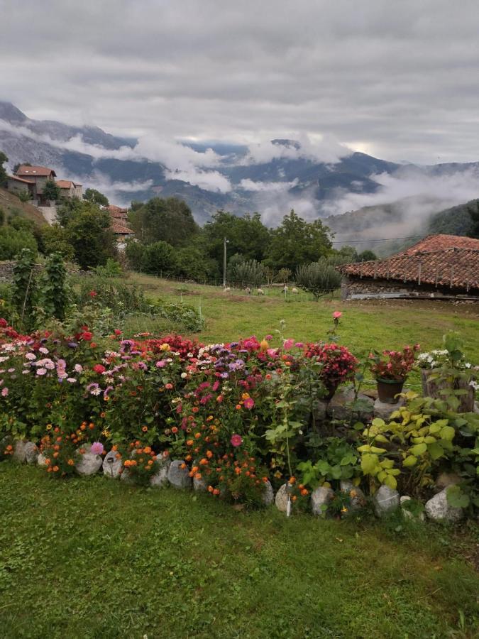 Casa Rural El Enebral En Potes Picos De Euopa Colio Extérieur photo